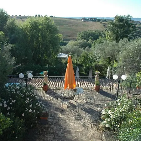 Casa Colle D'olivo Bed & Breakfast