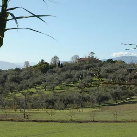 Casa Colle D'olivo Bed & Breakfast Spoltore
