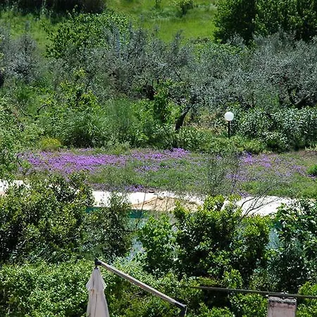 فندق مبيت وإفطار Casa Colle D'olivo Spoltore